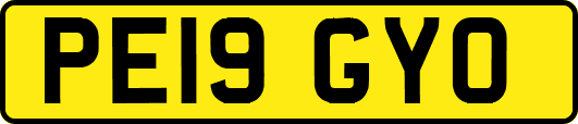 PE19GYO