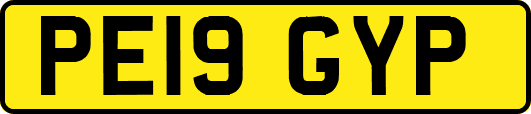 PE19GYP