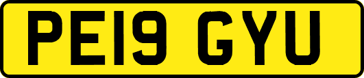 PE19GYU