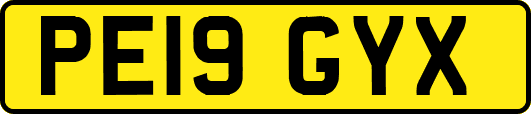 PE19GYX