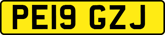 PE19GZJ