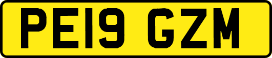 PE19GZM