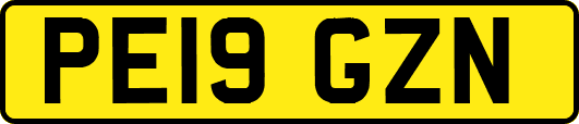 PE19GZN