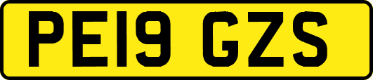 PE19GZS