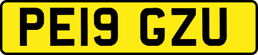 PE19GZU