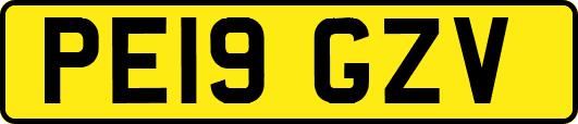 PE19GZV