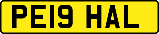 PE19HAL