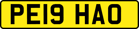 PE19HAO