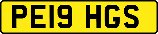 PE19HGS