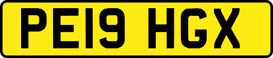 PE19HGX