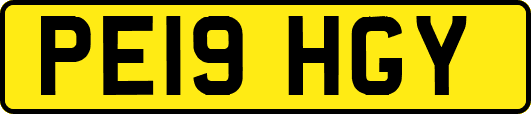 PE19HGY