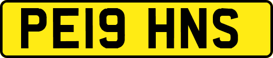 PE19HNS