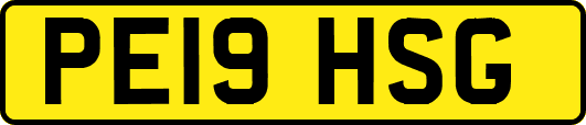 PE19HSG
