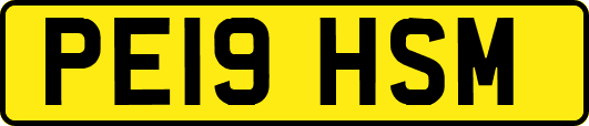 PE19HSM