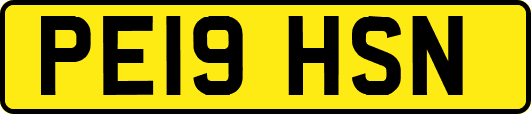 PE19HSN