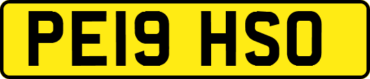 PE19HSO