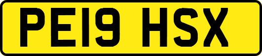 PE19HSX
