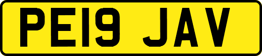 PE19JAV