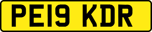 PE19KDR