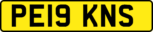 PE19KNS