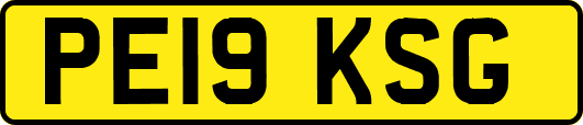 PE19KSG