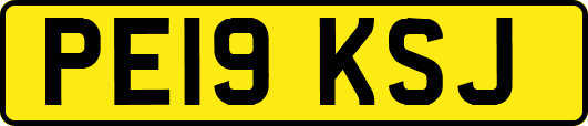 PE19KSJ