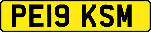 PE19KSM
