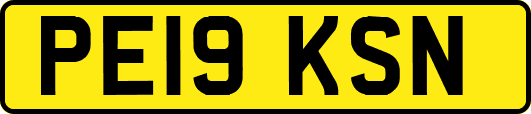 PE19KSN