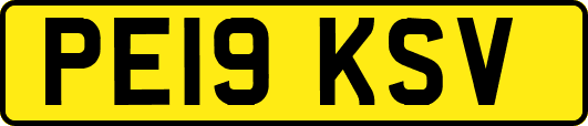PE19KSV