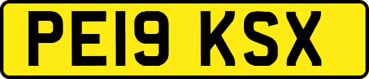 PE19KSX