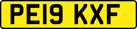 PE19KXF