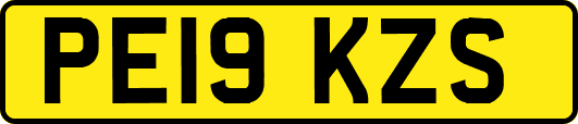PE19KZS