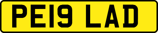 PE19LAD