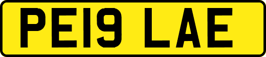 PE19LAE