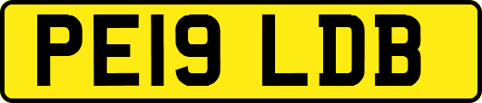 PE19LDB