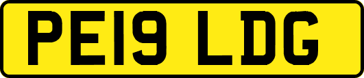 PE19LDG
