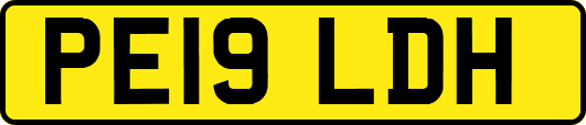 PE19LDH