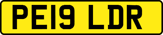 PE19LDR