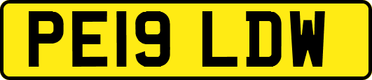 PE19LDW