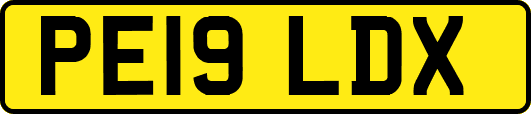 PE19LDX
