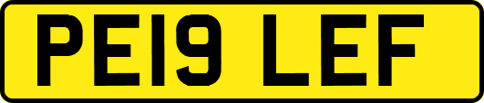 PE19LEF