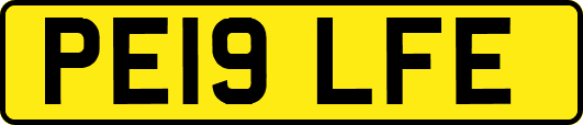 PE19LFE