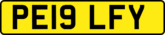 PE19LFY