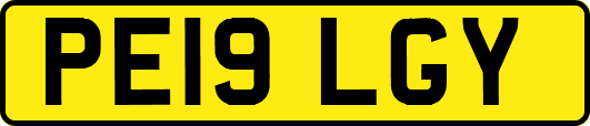PE19LGY