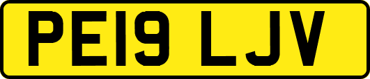 PE19LJV
