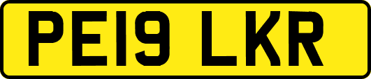 PE19LKR