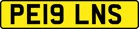 PE19LNS