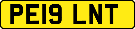 PE19LNT