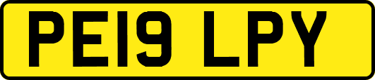 PE19LPY
