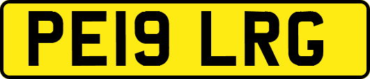 PE19LRG